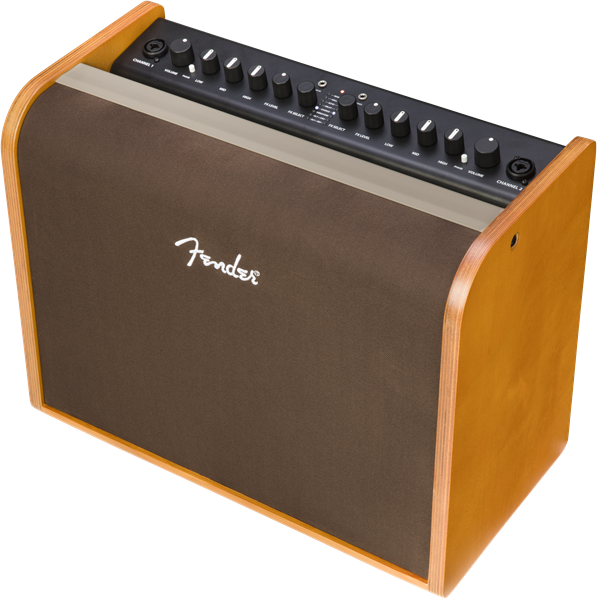 Fender Acoustic 100