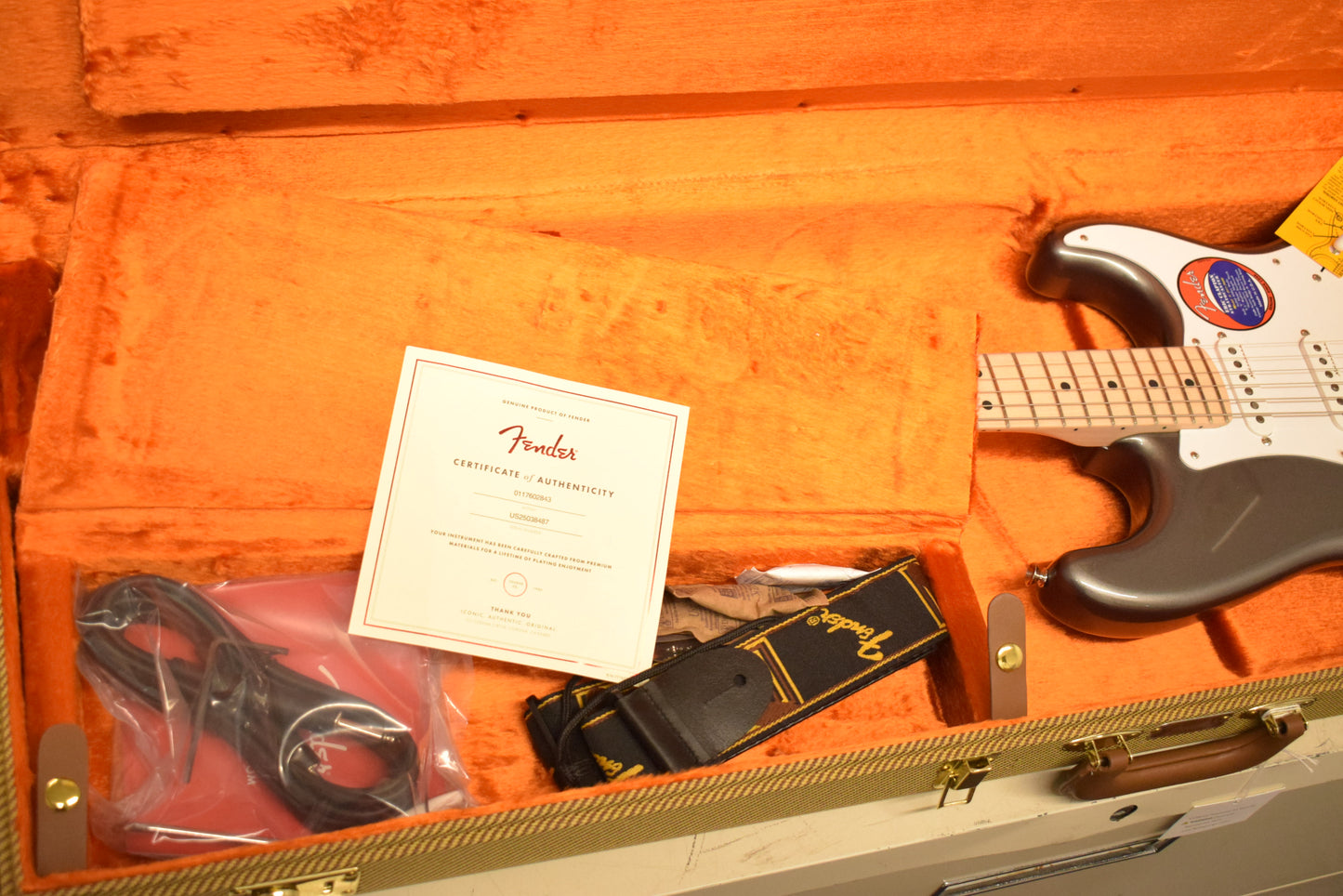 Fender Eric Clapton Stratocaster Maple Fingerboard Pewter