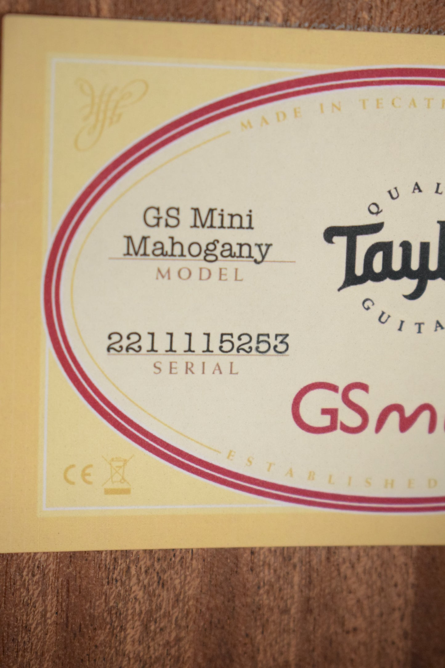 Taylor GS Mini Mahogany
