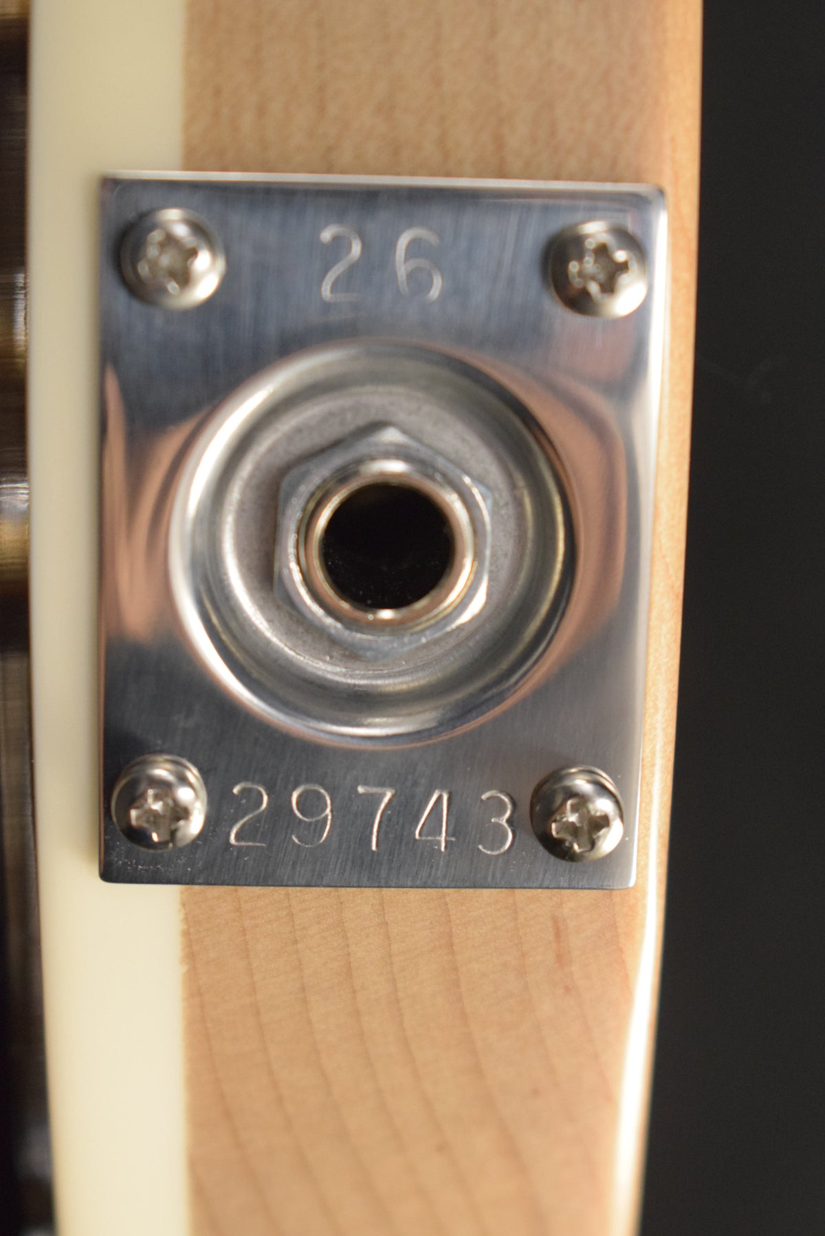 Rickenbacker 660 6-String Mapleglo