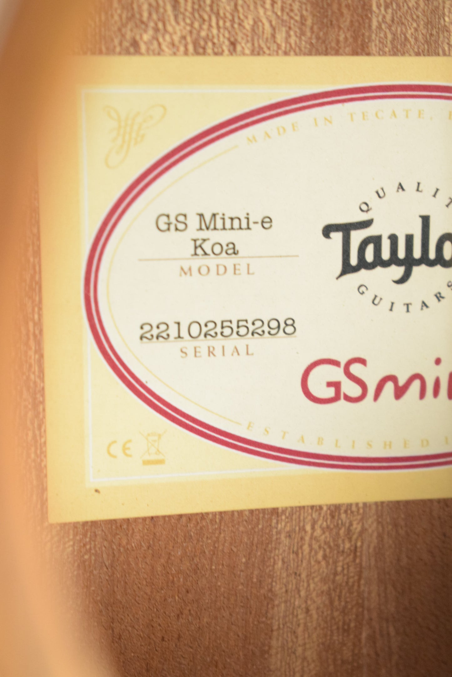 Taylor GS Mini-e Koa