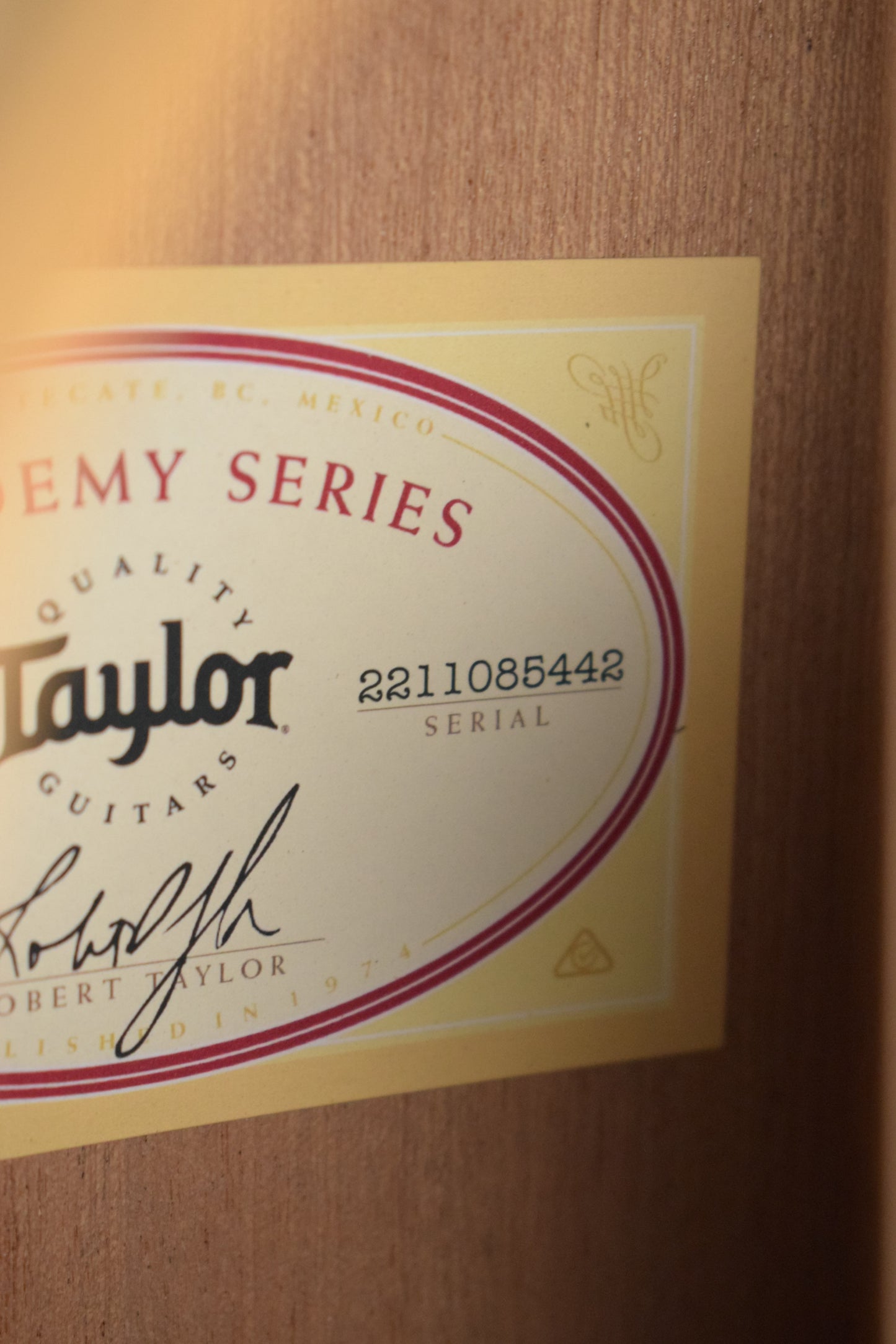 Taylor Academy 10e Dreadnought Walnut/Torrefied Spruce Natural