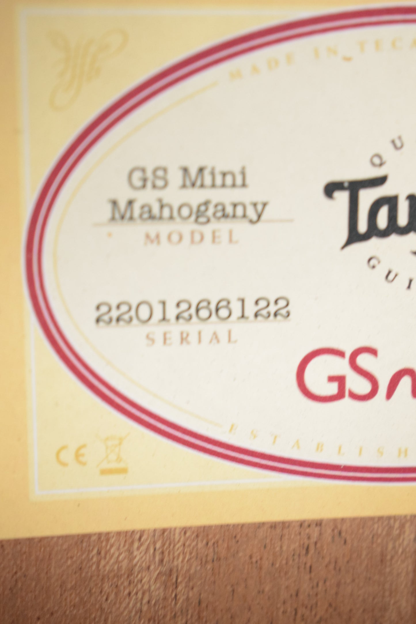 Taylor GS Mini Mahogany
