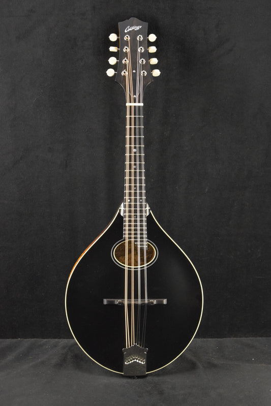 Collings MT O Satin Finish Oval Hole A-Style Mandolin