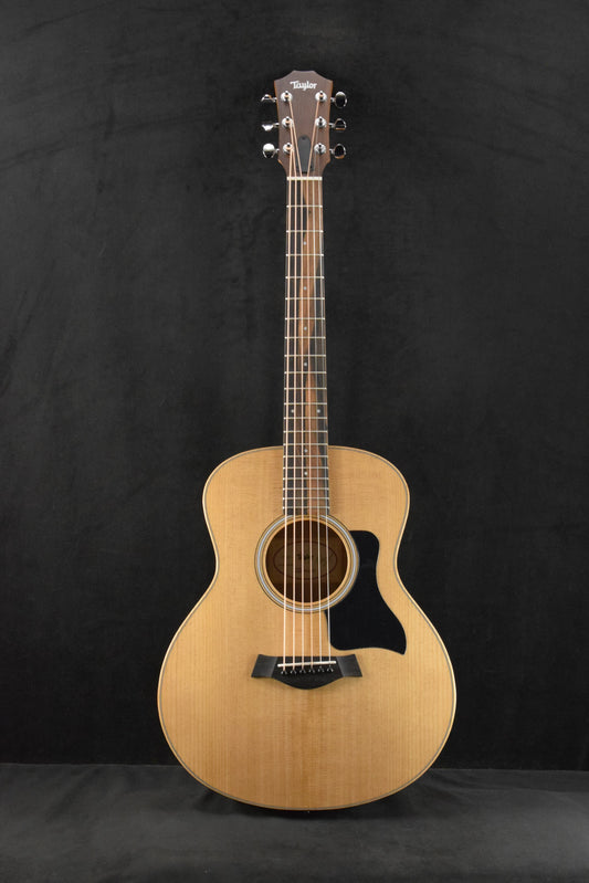 Taylor GS Mini