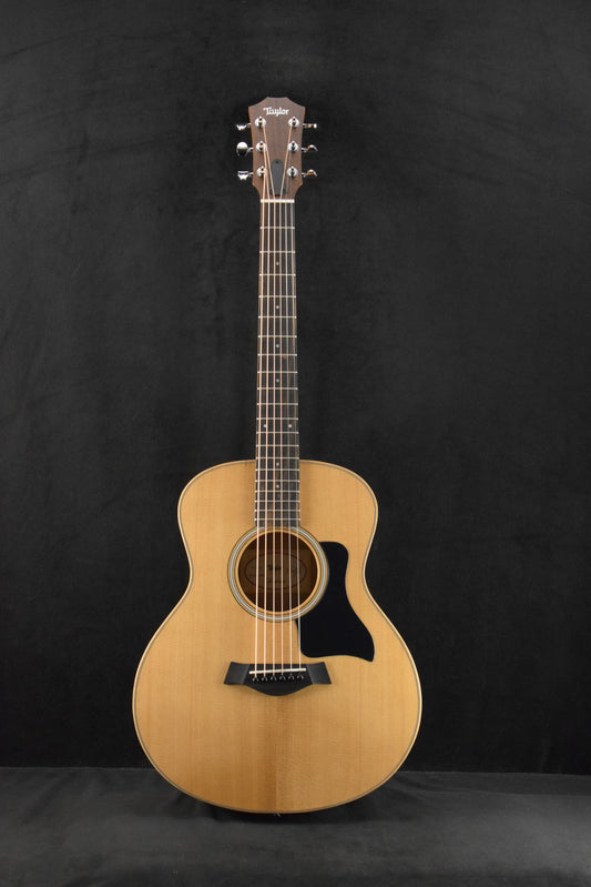 Taylor GS Mini
