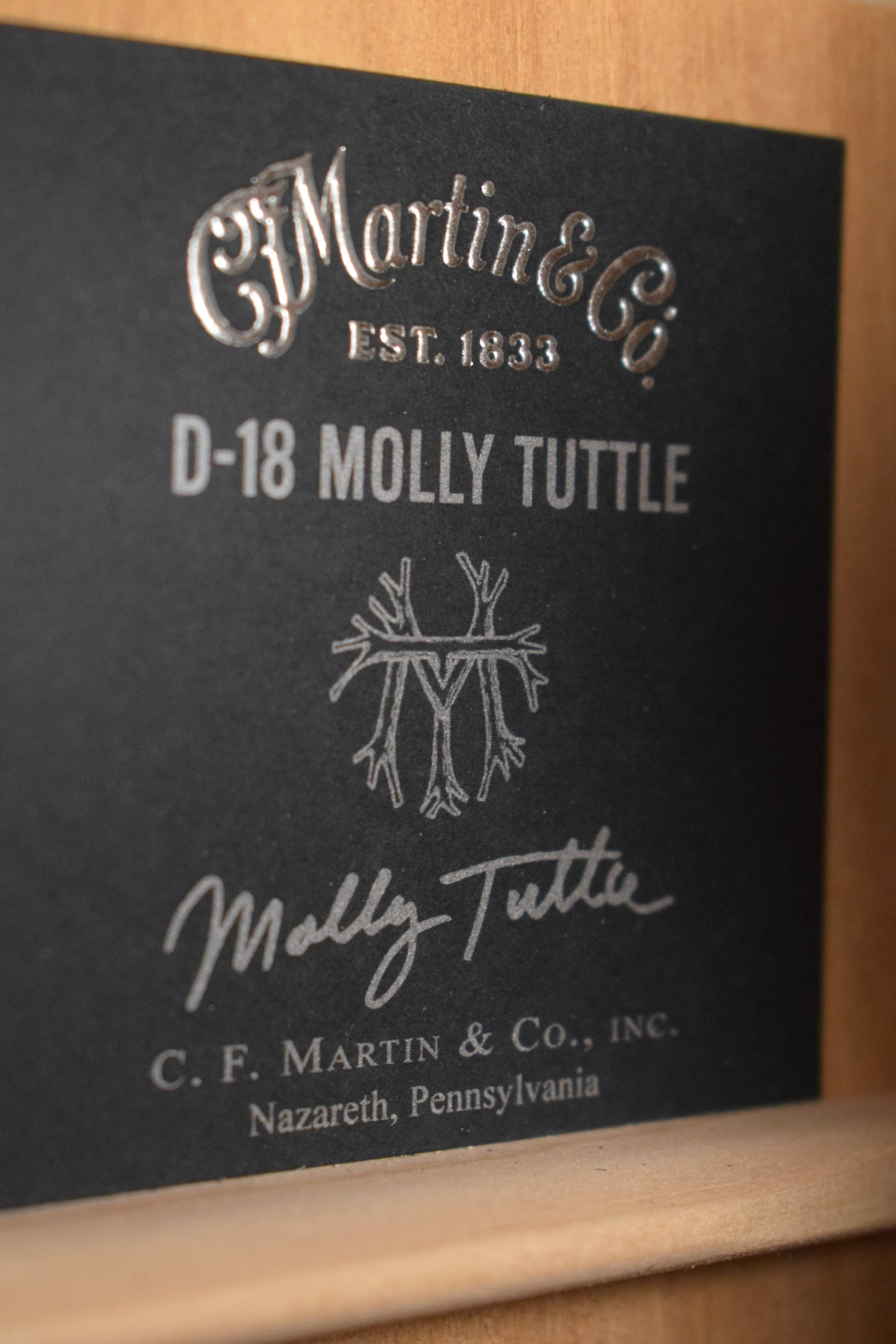 Martin D-18 Molly Tuttle Sunburst