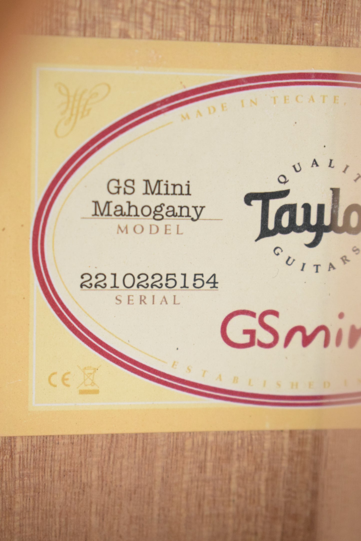 Taylor GS Mini Mahogany
