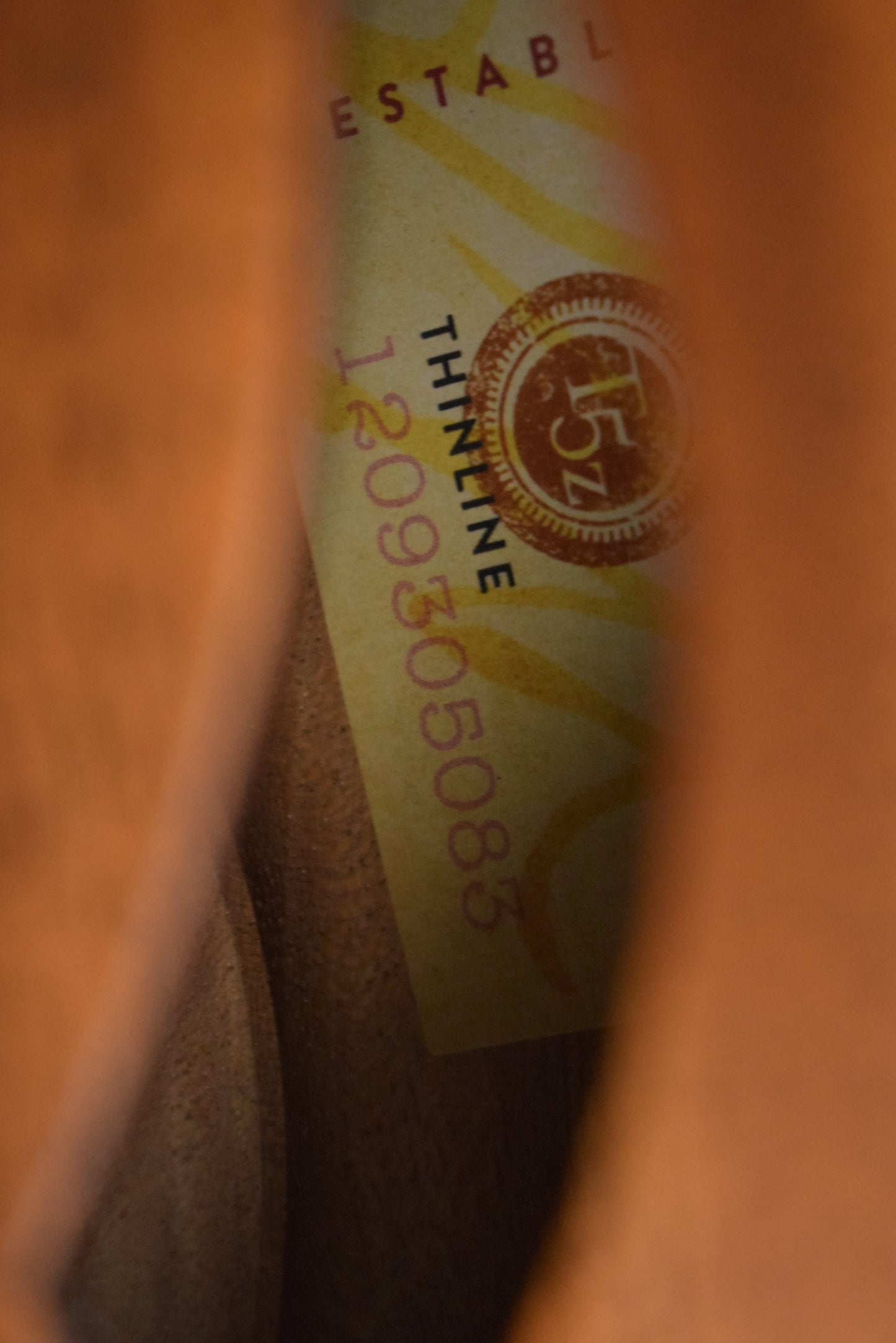 Taylor T5z Classic Mahogany Stain