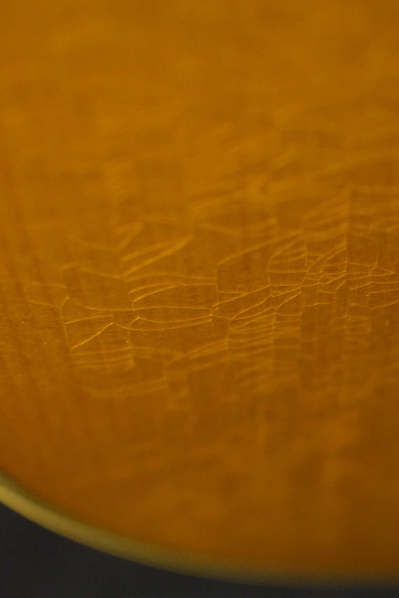 Martin Custom Shop Dreadnought Wild Grain East Indian Rosewood Adirondack Spruce VTS Natural