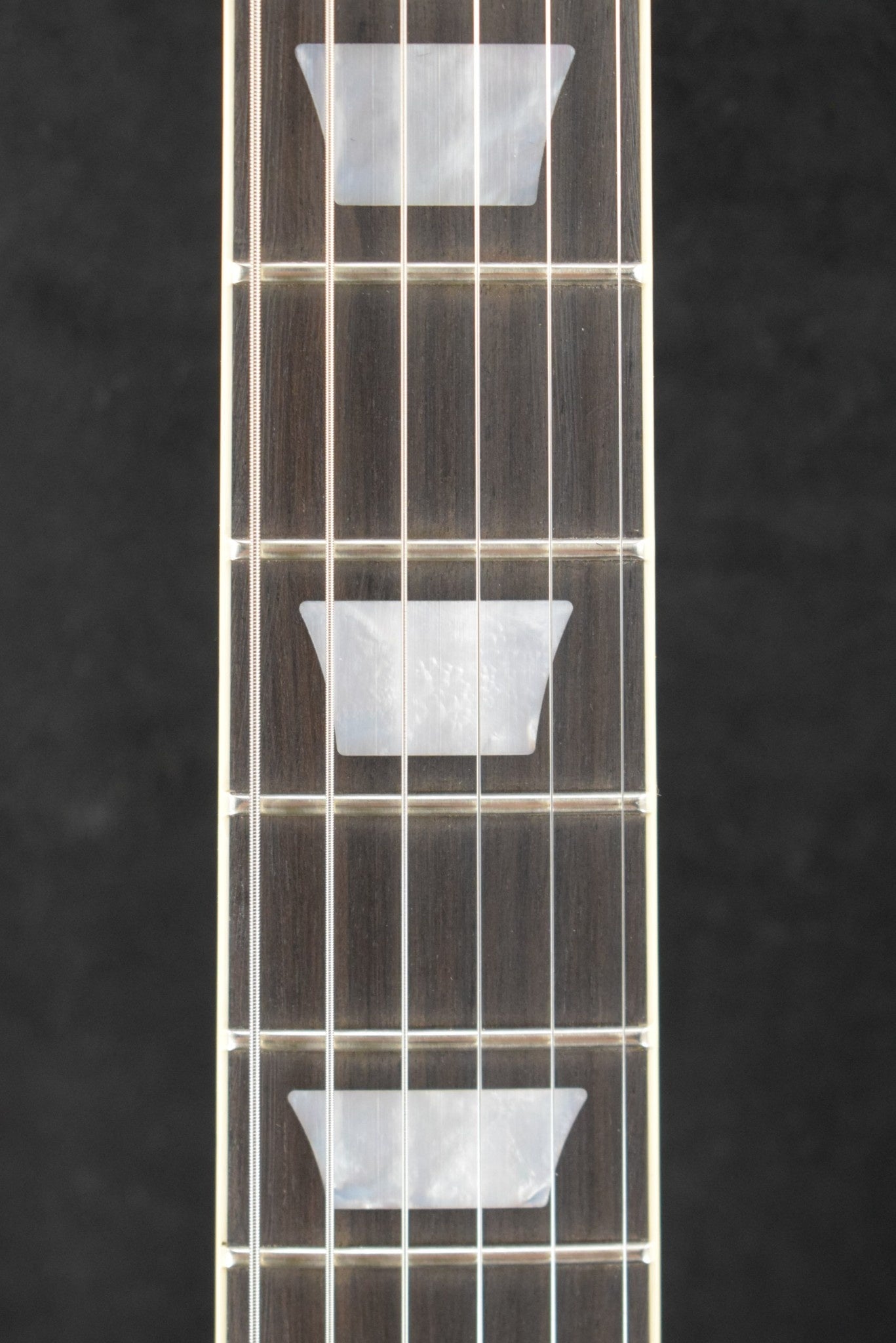 Gibson Adam Jones Les Paul Standard Antique Silverburst