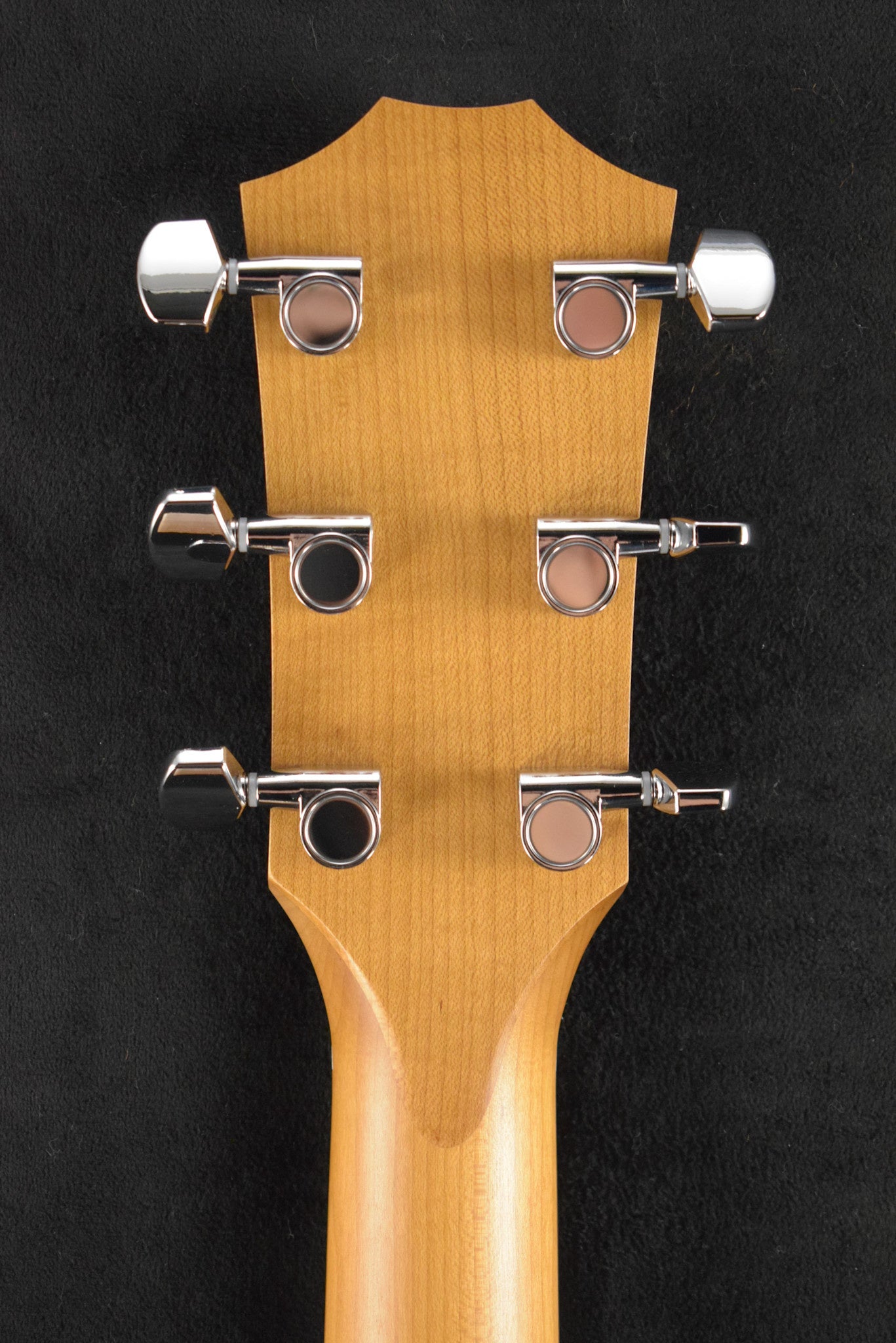 Taylor Academy 10e Dreadnought Walnut/Torrefied Spruce Natural