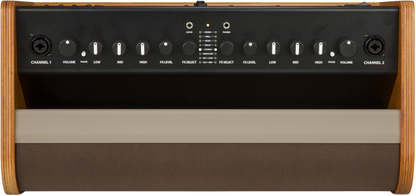 Fender Acoustic 100