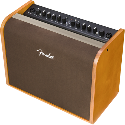 Fender Acoustic 100