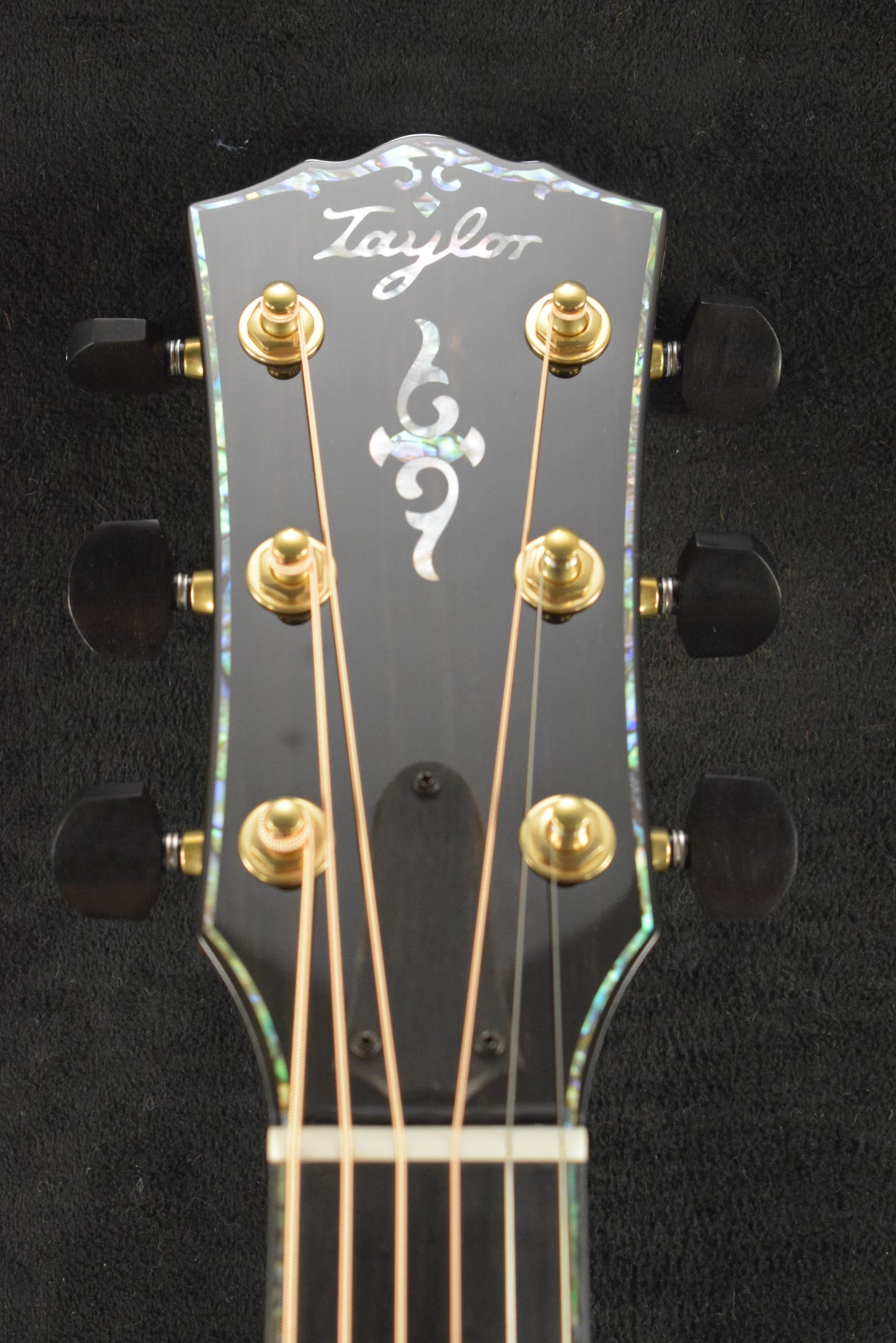 Taylor Gold Label 914e Honduran Rosewood