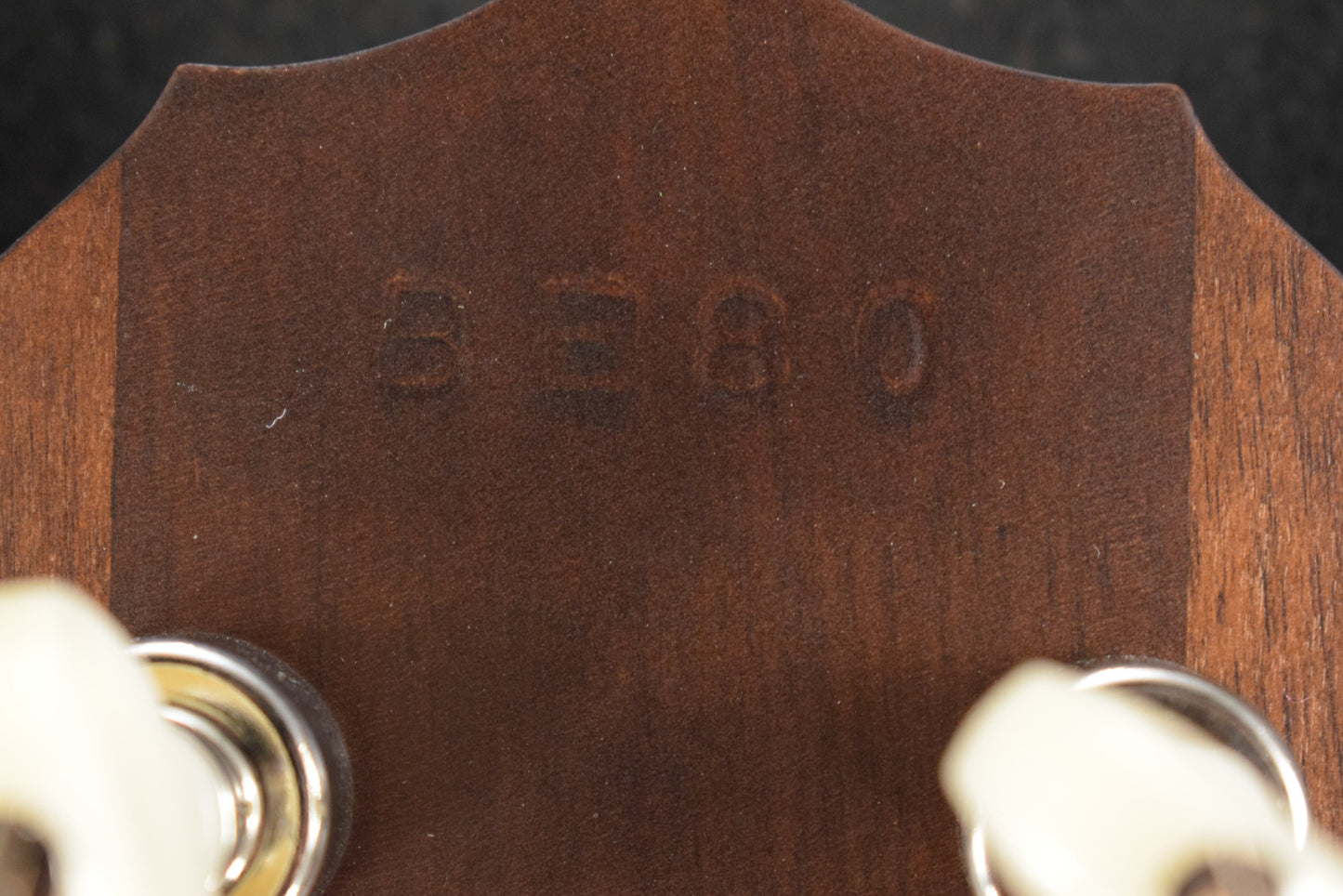 Deering Sierra 5-String Maple Banjo