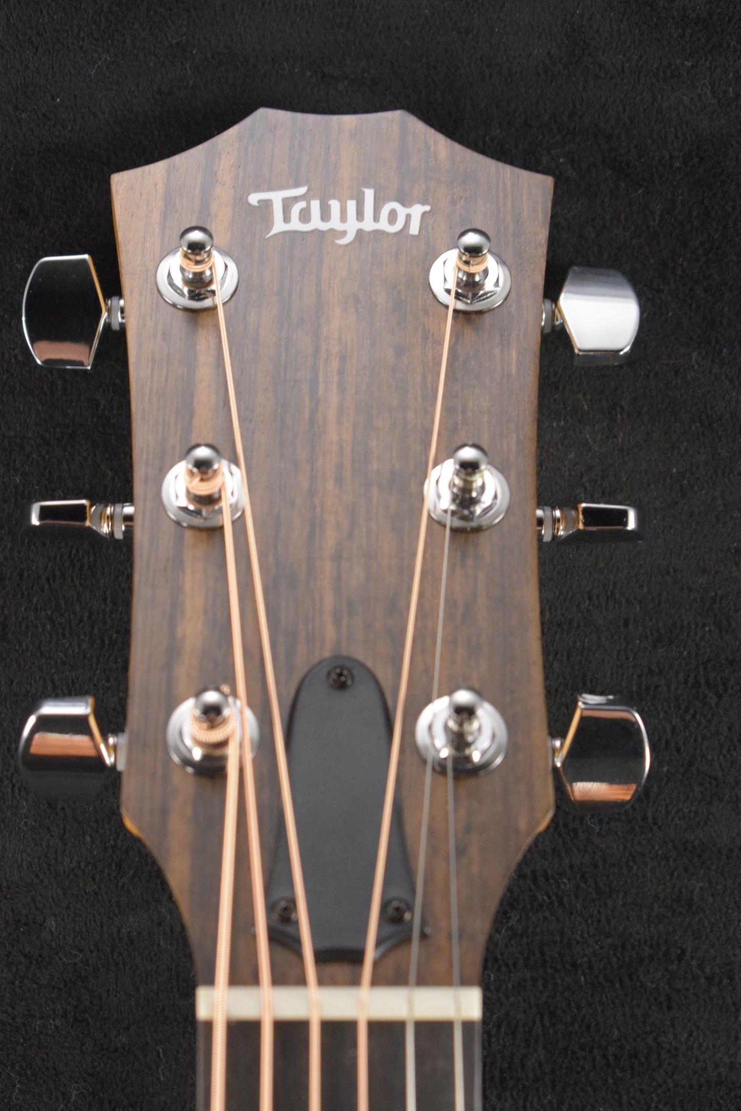 Taylor 114ce Sapele/Torrefied Spruce Natural