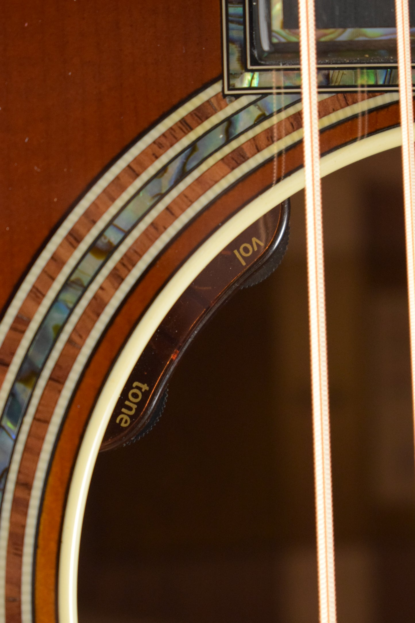 Taylor Gold Label 917e SB Honduran Rosewood Teardrop Sunburst Top