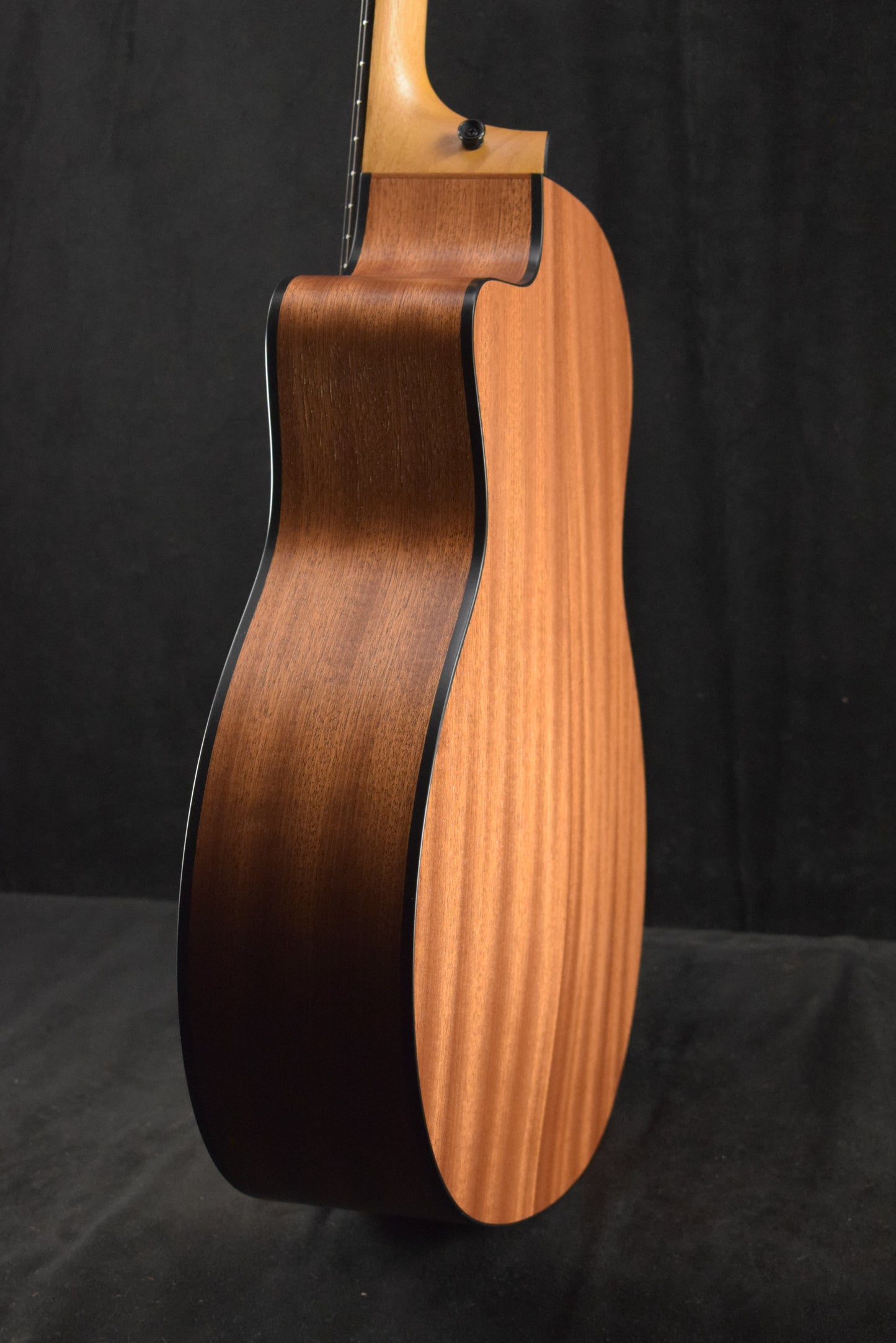 Taylor 114ce Sapele/Torrefied Spruce Natural