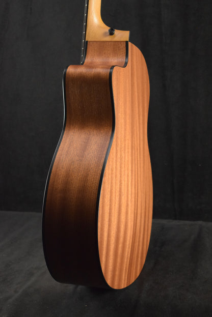 Taylor 114ce Sapele/Torrefied Spruce Natural