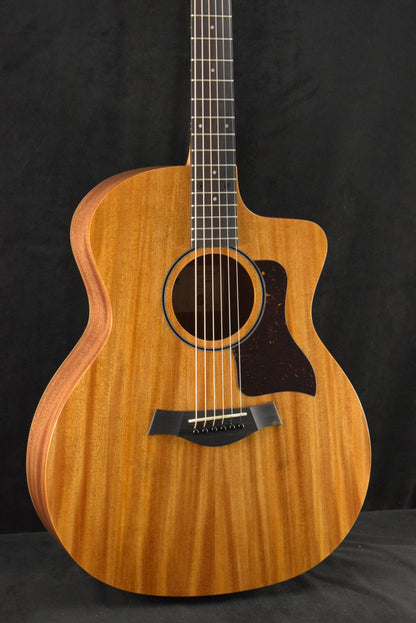 Taylor 24ce Mahogany Top Natural