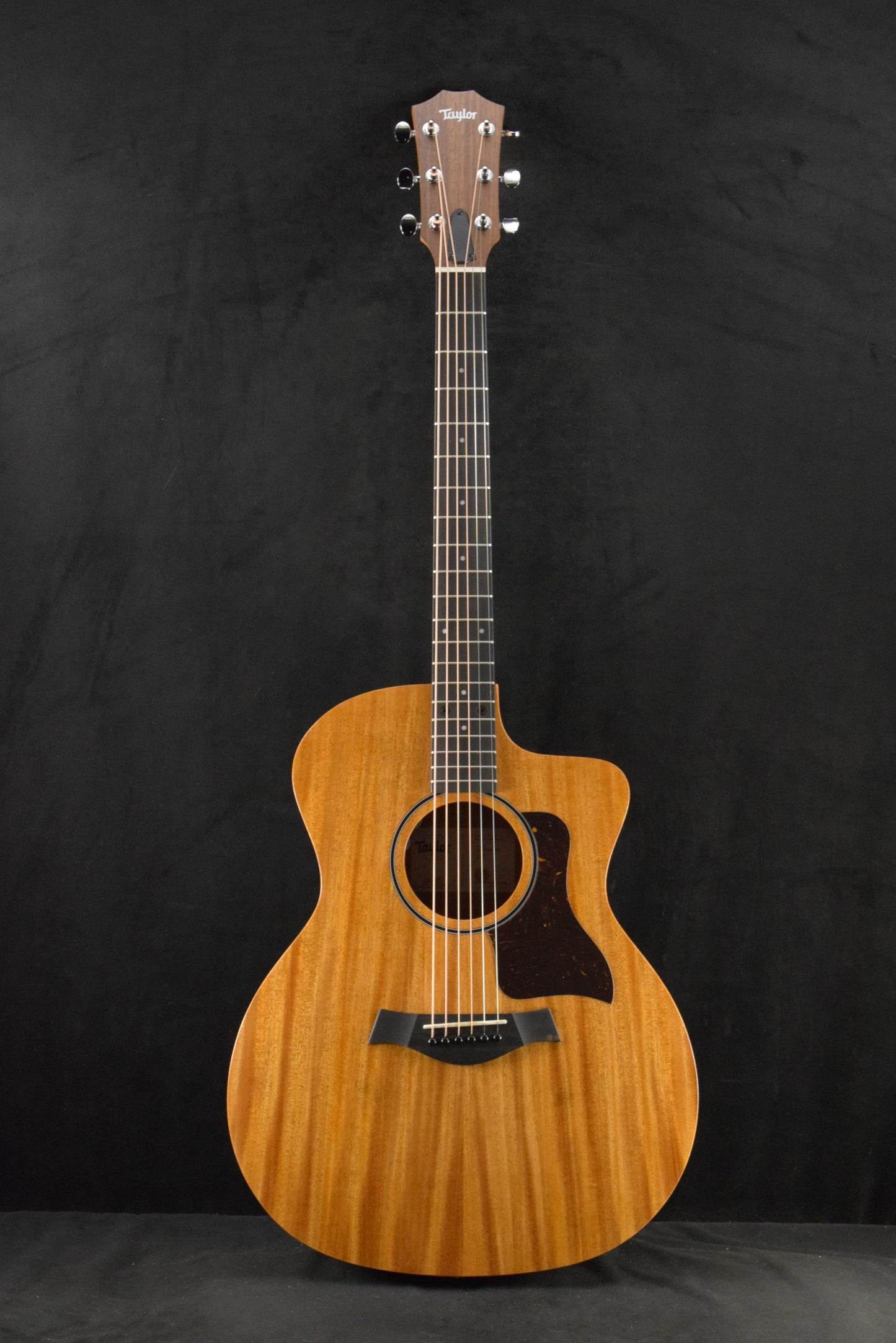 Taylor 24ce Mahogany Top Natural