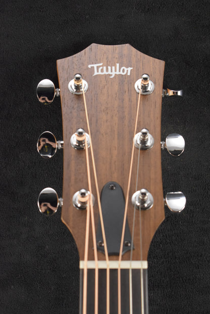 Taylor 24ce Mahogany Top Natural