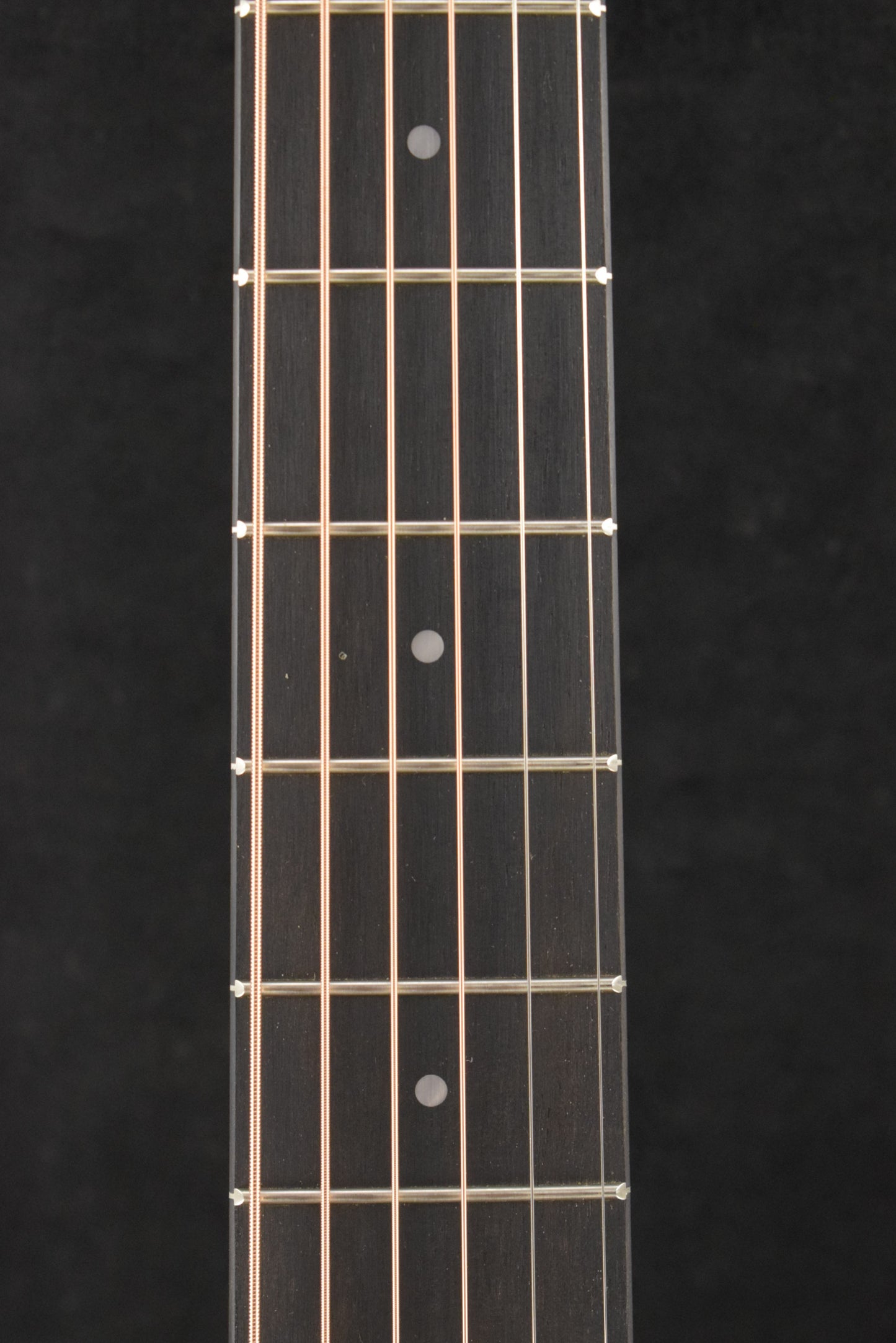 Taylor 24ce Mahogany Top Natural