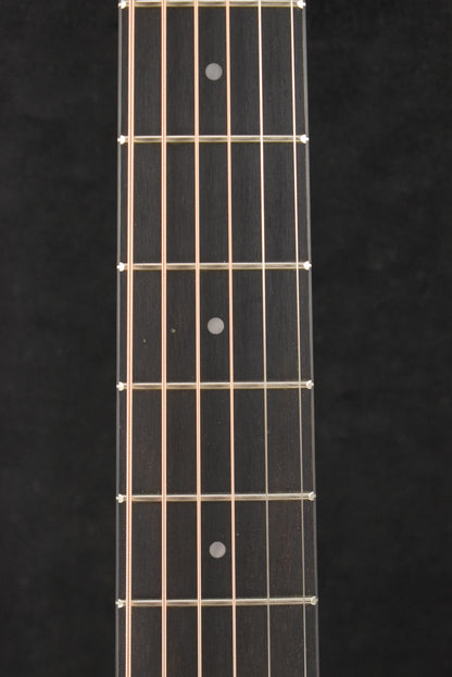 Taylor 24ce Mahogany Top Natural