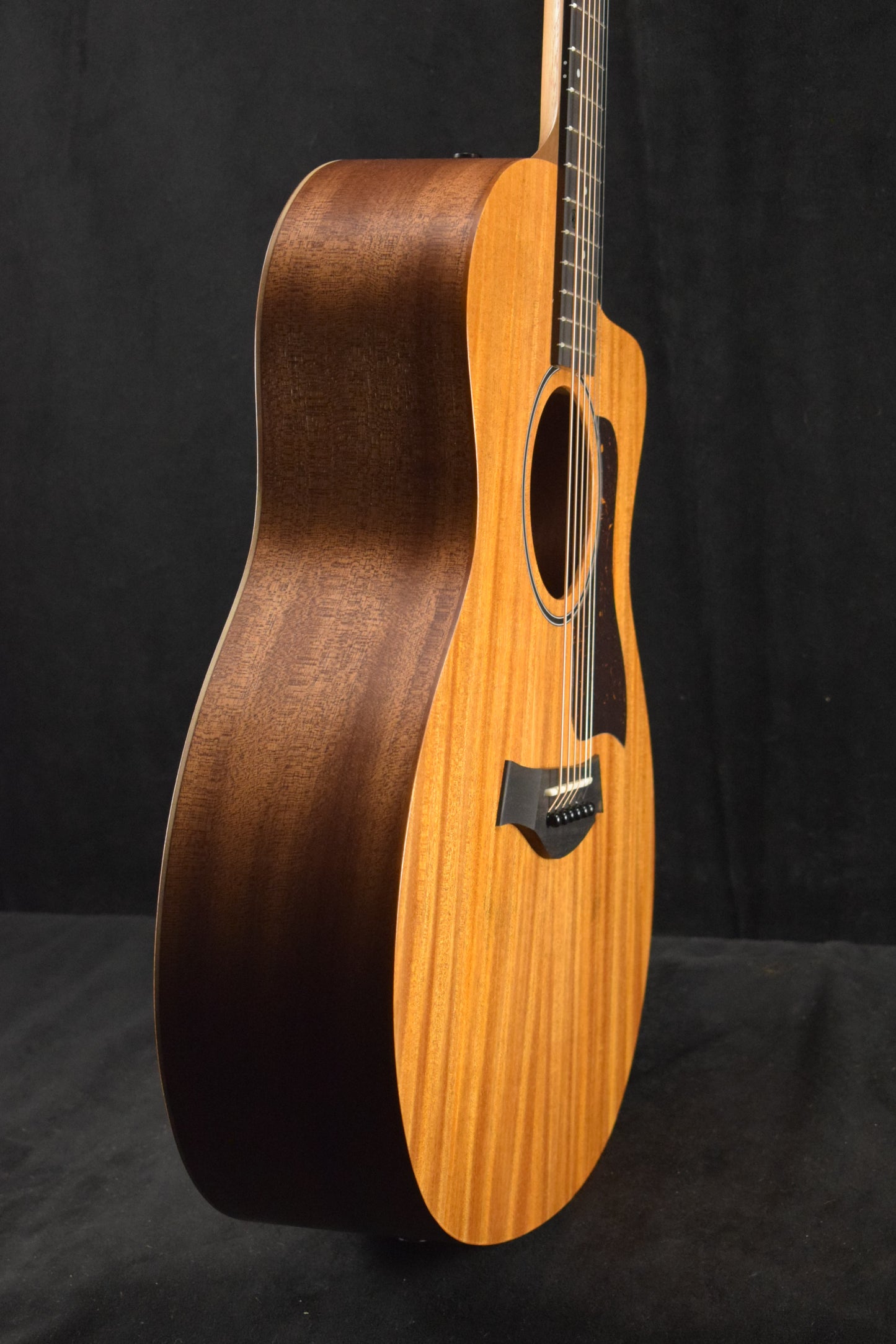 Taylor 24ce Mahogany Top Natural