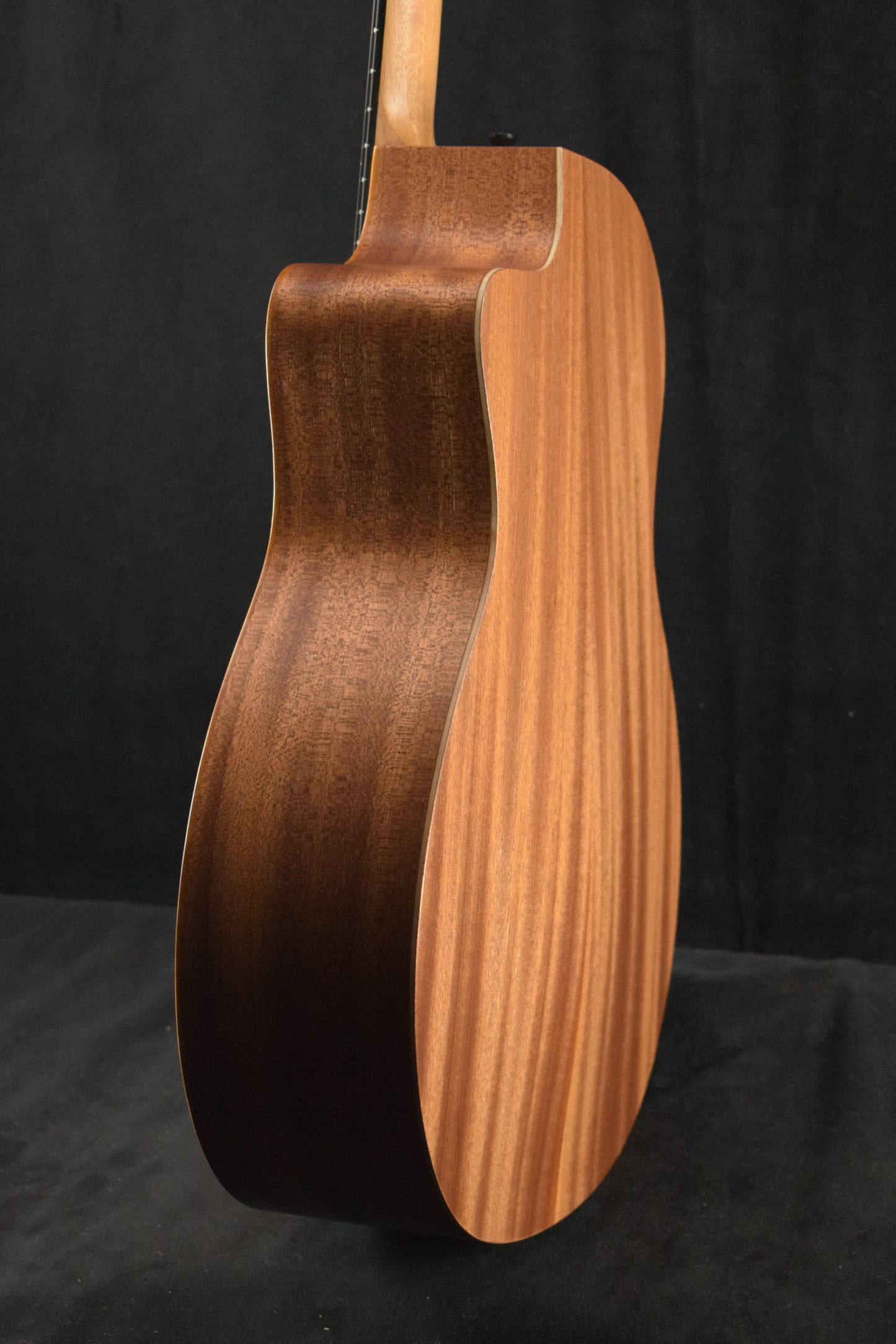 Taylor 24ce Mahogany Top Natural