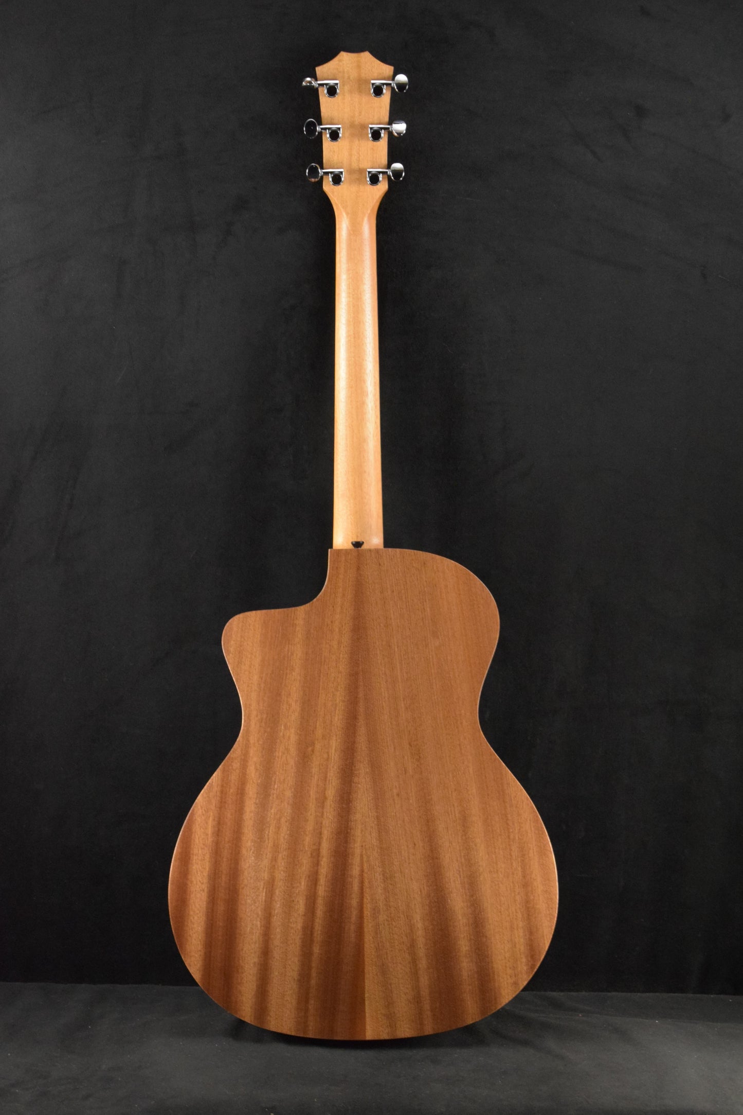Taylor 24ce Mahogany Top Natural