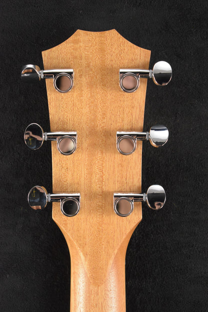Taylor 24ce Mahogany Top Natural