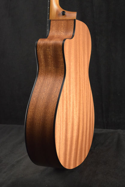 Taylor 112ce-N Nylon-String Acoustic-Electric Sapele/Torrefied Spruce Natural