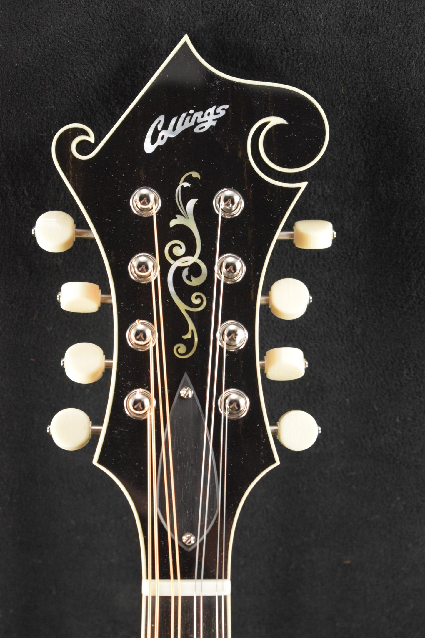 Collings MF5 Full Gloss F-Style Mandolin