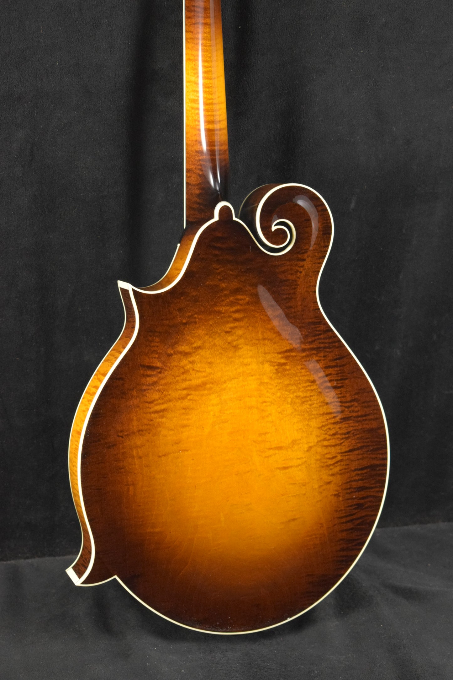 Collings MF5 Full Gloss F-Style Mandolin