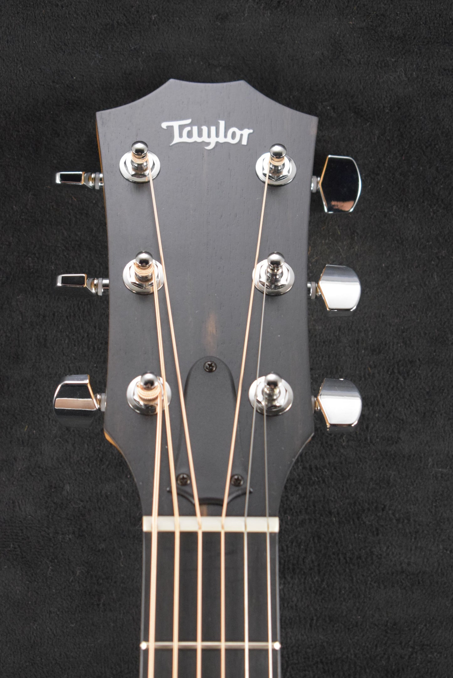 Taylor 214ce Walnut/Torrefied Spruce Top Natural