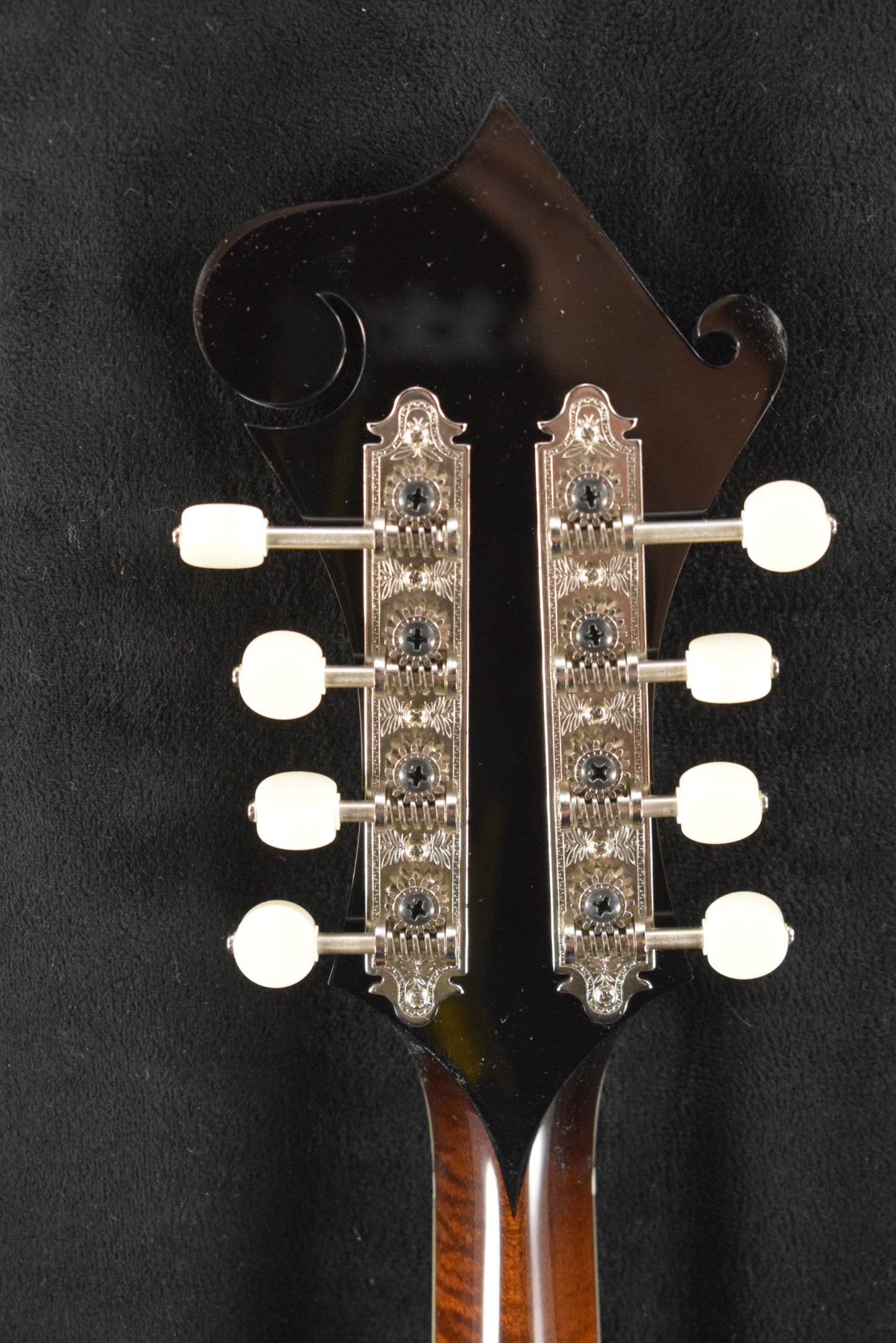 Collings MF5 Full Gloss F-Style Mandolin