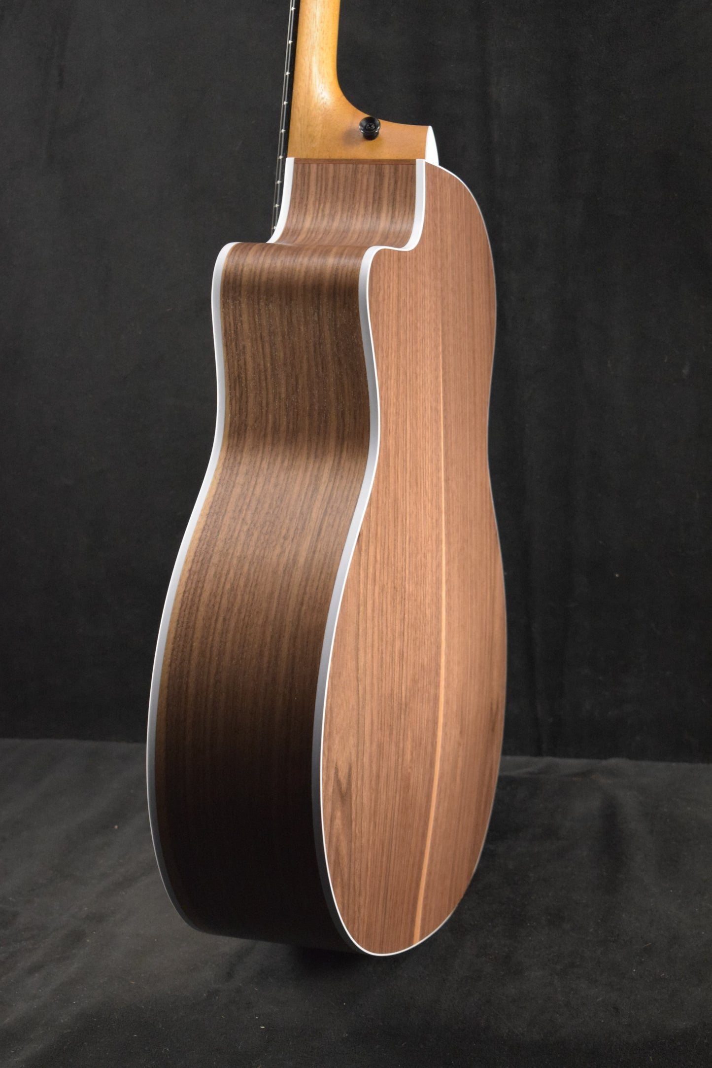 Taylor 214ce Walnut/Torrefied Spruce Top Natural
