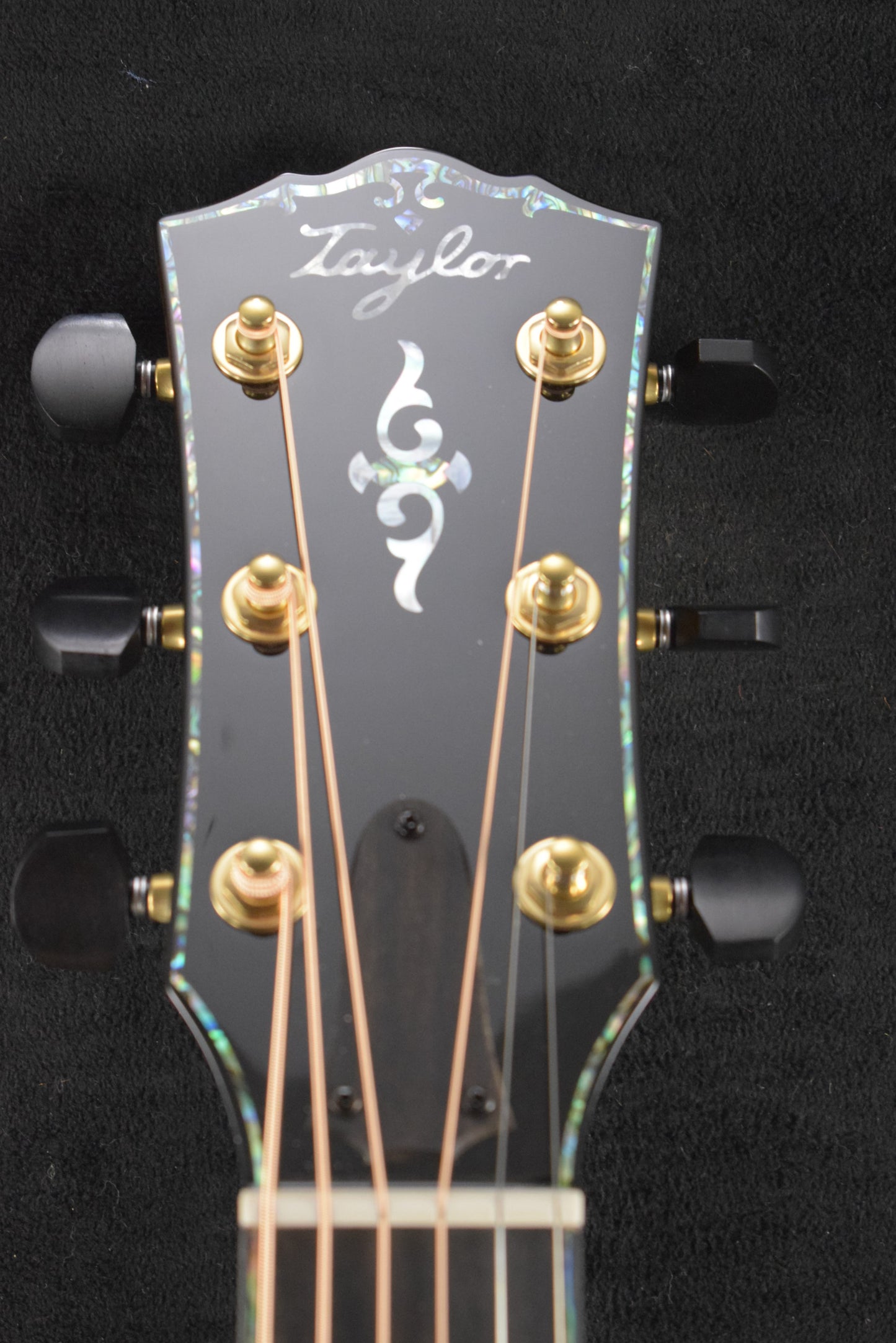 Taylor Gold Label 917e Honduran Rosewood