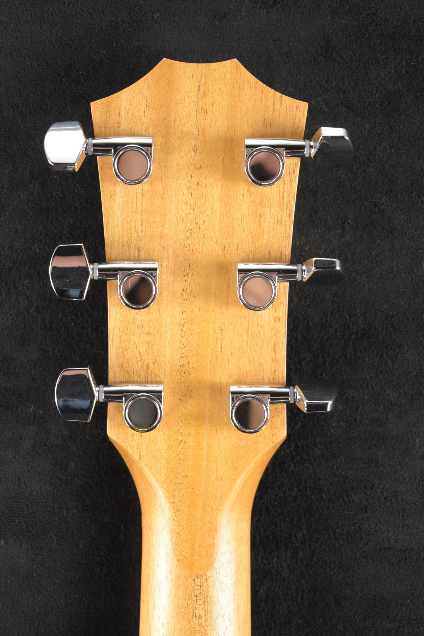 Taylor 214ce Walnut/Torrefied Spruce Top Natural