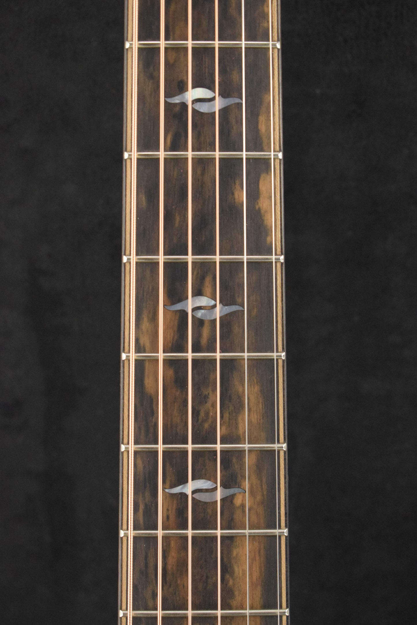 Taylor 814ce LTD Cocobolo Claria Pickup System Natural
