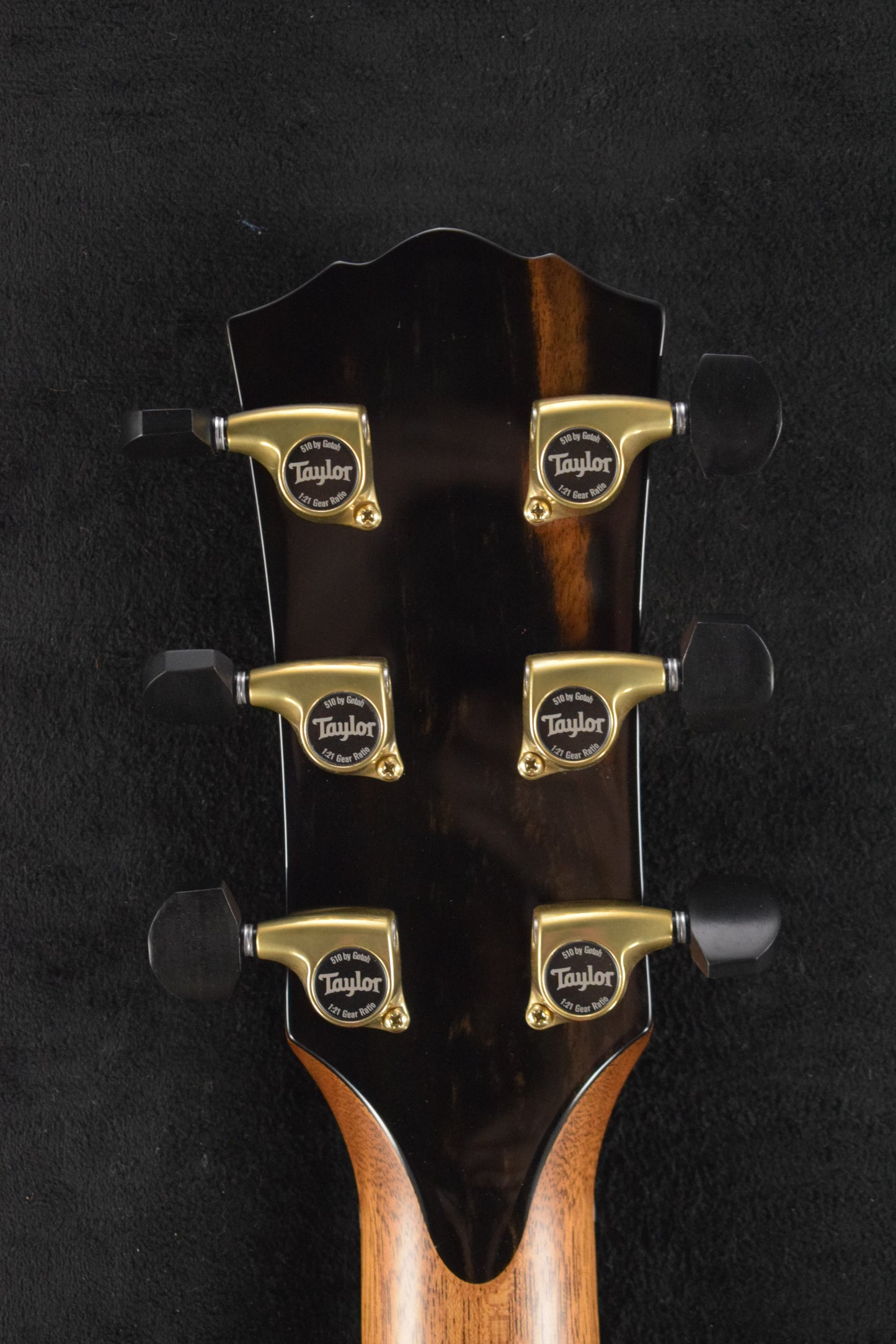 Taylor Gold Label 917e Honduran Rosewood
