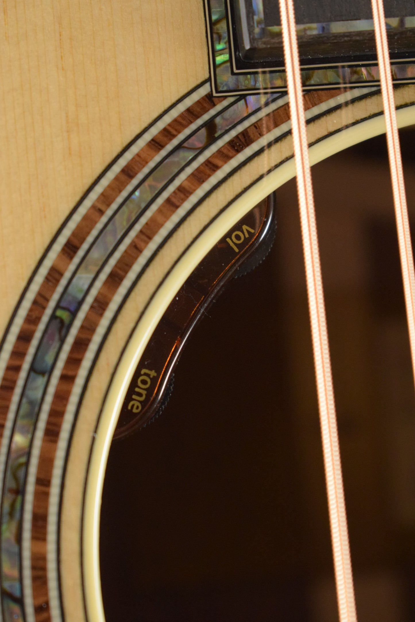 Taylor Gold Label 917e Honduran Rosewood