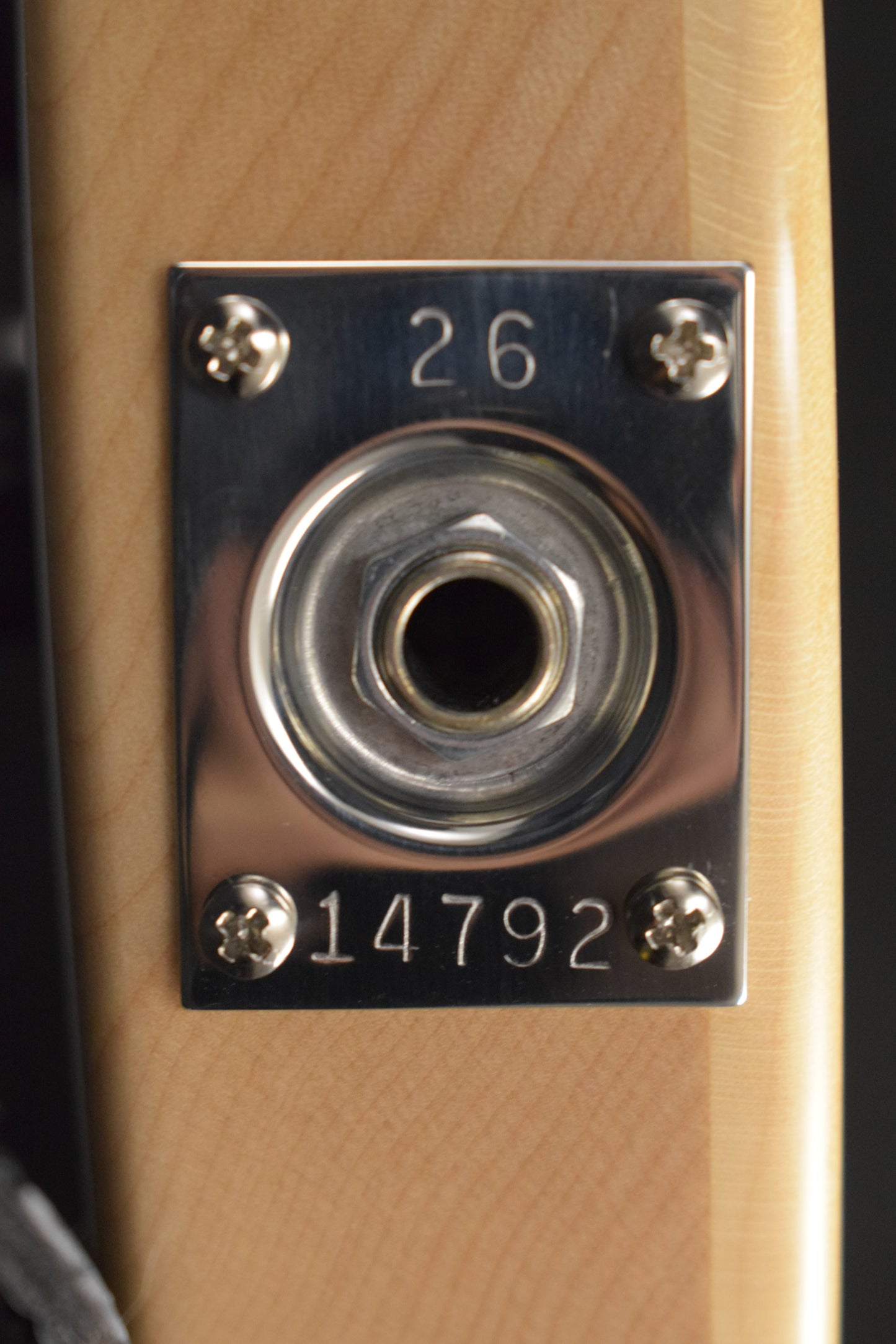 Rickenbacker 330/12 12-String Mapleglo