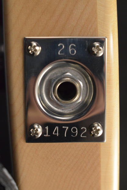Rickenbacker 330/12 12-String Mapleglo