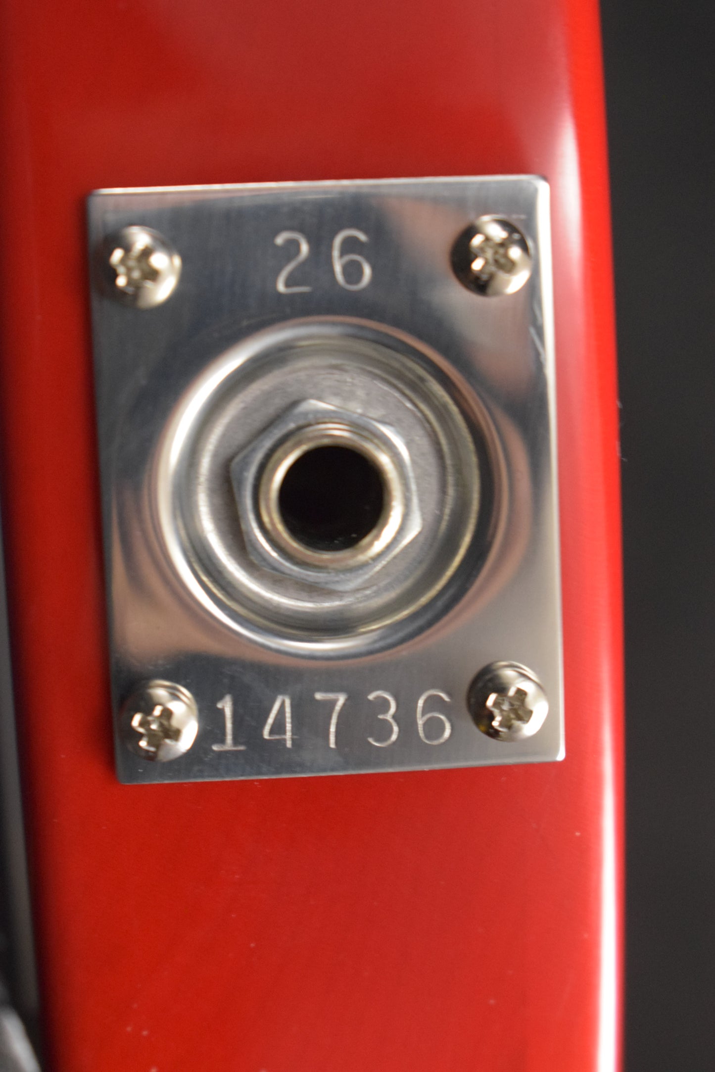 Rickenbacker 330/12 12-String Fireglo