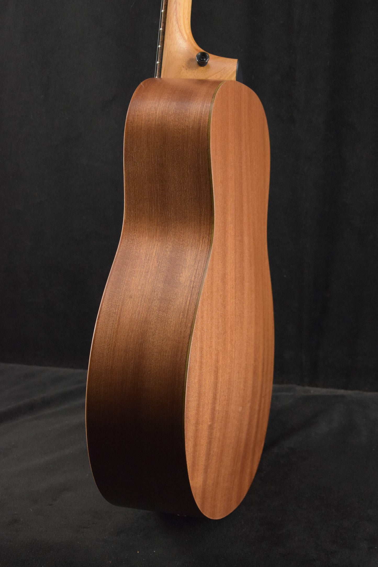 Taylor GS Mini Mahogany