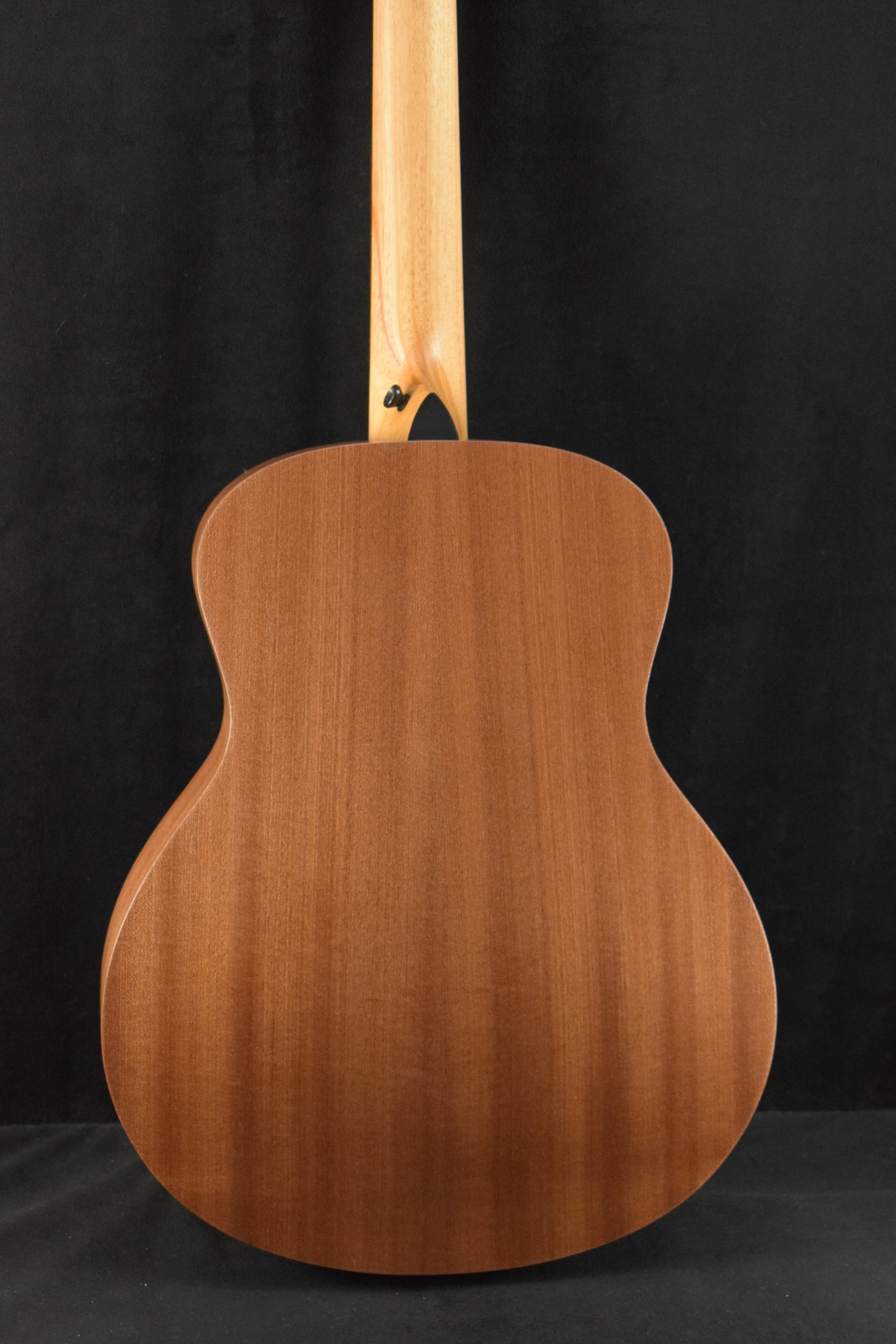 Taylor GS Mini Mahogany