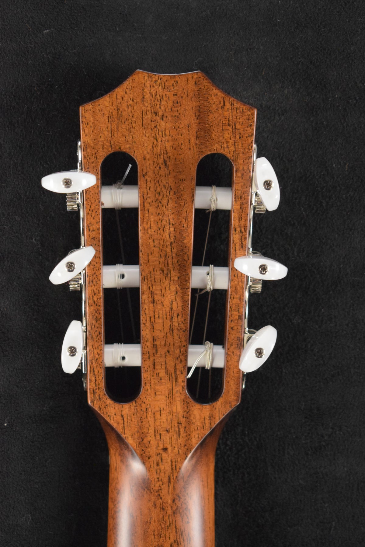 Taylor 312ce-N Nylon-String 12-Fret Natural